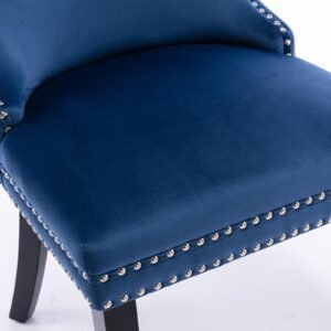 Vaeny Wingback Dining Chair with Nailhead Trim